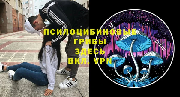 гидропоника Белоозёрский