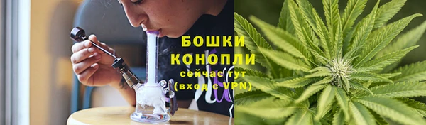 гидропоника Белоозёрский