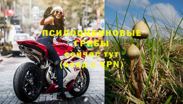 стафф Белокуриха