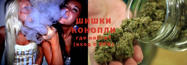 гидропоника Белоозёрский