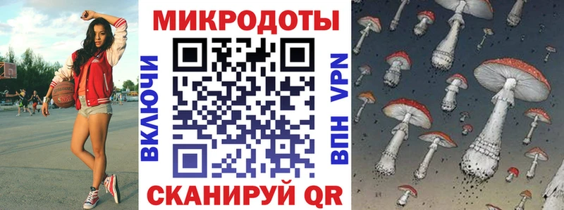 Купить где  Аксай  Псилоцибиновые грибы Psilocybe 